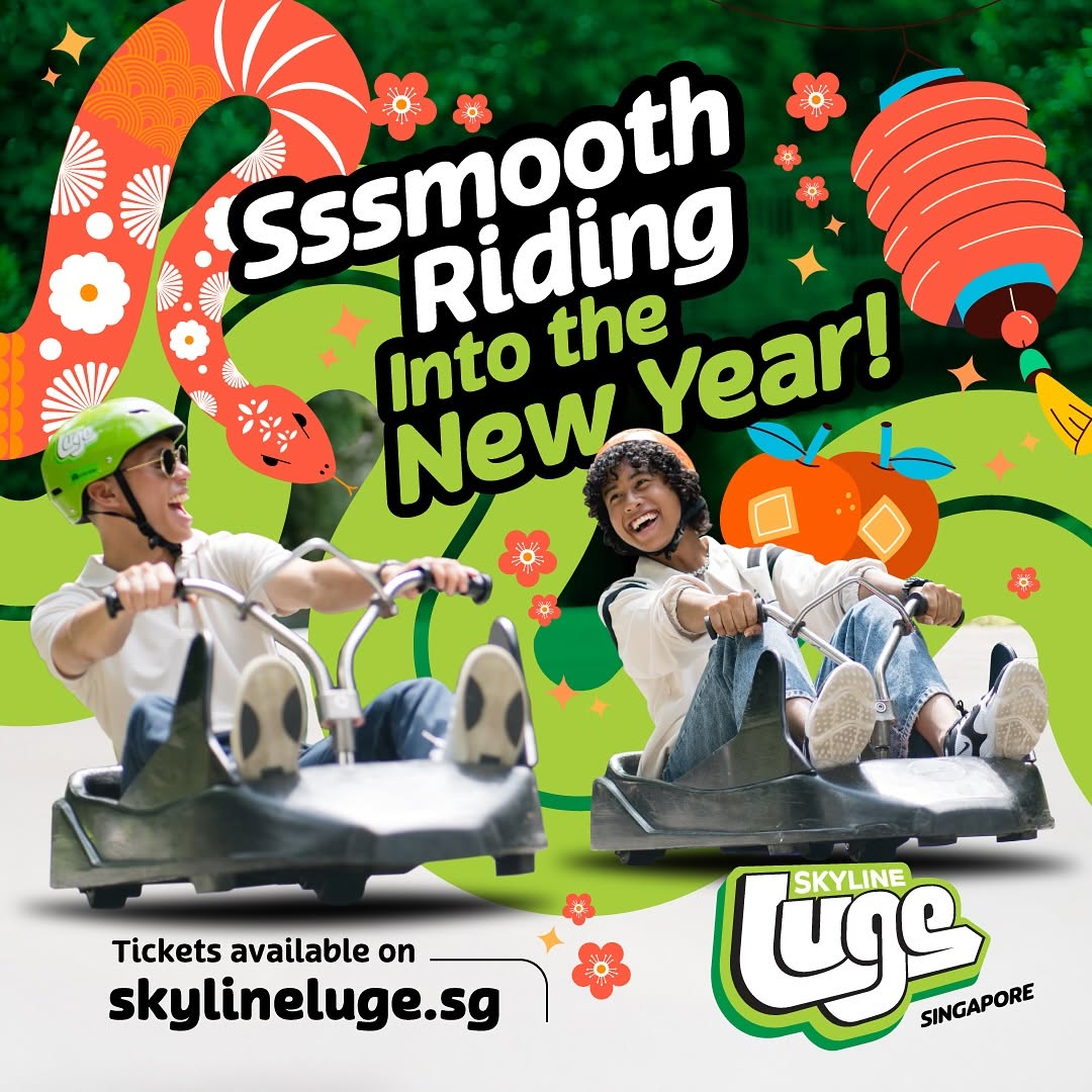 Skyline Luge Singapore - Image 2