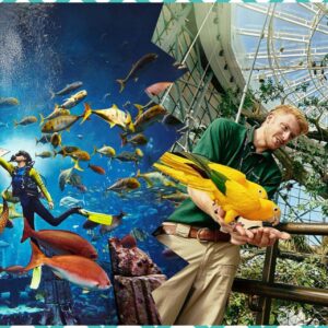 The Green Planet + The Lost Chamber Aquarium