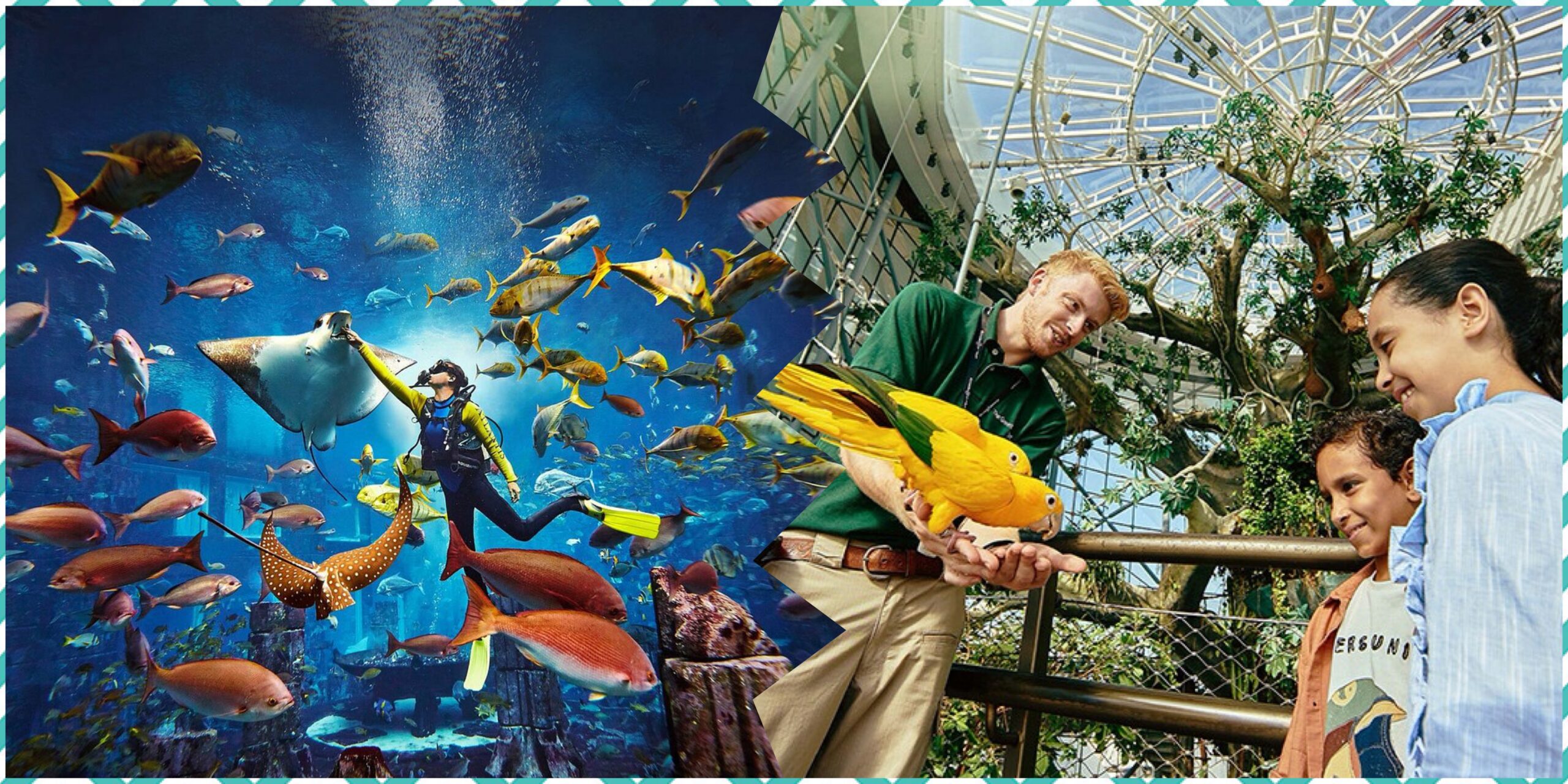 The Green Planet + The Lost Chamber Aquarium